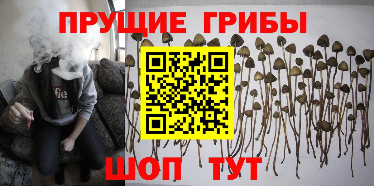 Самара  Псилоцибиновые грибы Magic Shrooms  Вход с VPN  наркотики  Псилоцибиновые грибы GOLDEN TEACHER 