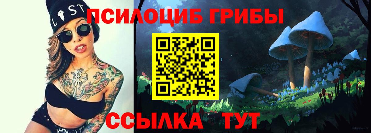 Галлюциногенные грибы мицелий Самара